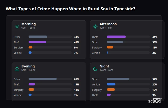 Crime types by time period for Rural South Tyneside - showing breakdown of burglary, violence, theft, and vehicle crime by morning, afternoon, evening, and night