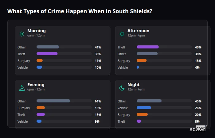 Crime types by time period for South Shields - showing breakdown of burglary, violence, theft, and vehicle crime by morning, afternoon, evening, and night