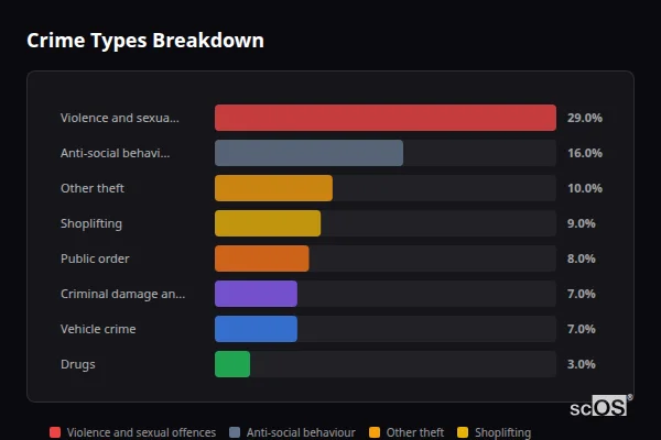 Crime Types Breakdown for Ashford Common - showing Violence and sexual offences (29%), Anti-social behaviour (16%), Other theft (10%)