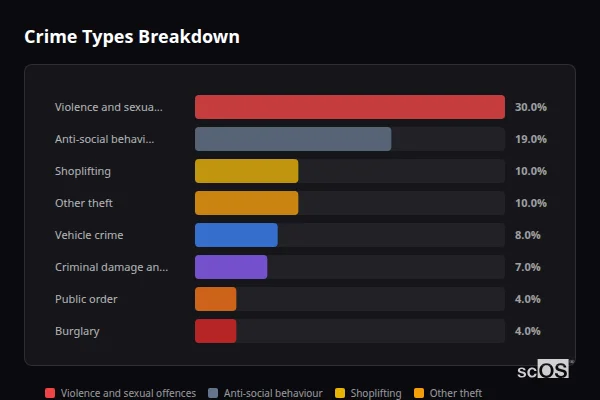 Crime Types Breakdown for St Albans - showing Violence and sexual offences (28%), Anti-social behaviour (19%), Shoplifting (13%)