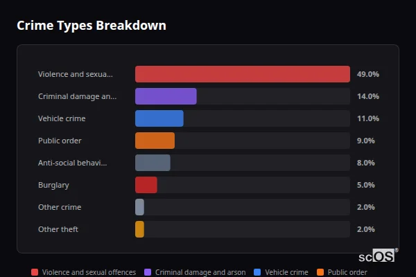 Crime Types Breakdown - Biddulph Moor Crime Types Breakdown for Biddulph Moor - showing Violence and sexual offences (49%), Criminal damage and arson (14%), Vehicle crime (11%)