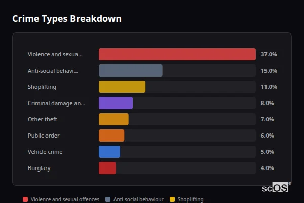Crime Types Breakdown for Rural Stockton-on-Tees - showing Violence and sexual offences (37%), Anti-social behaviour (15%), Shoplifting (11%)