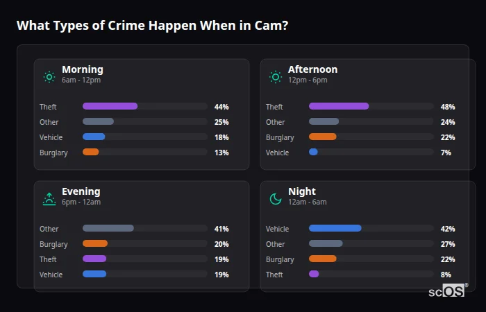 What Types of Crime Happen When in Cam? Crime types by time period for Cam - showing breakdown of burglary, violence, theft, and vehicle crime by morning, afternoon, evening, and night
