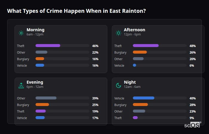 What Types of Crime Happen When in East Rainton? Crime types by time period for East Rainton - showing breakdown of burglary, violence, theft, and vehicle crime by morning, afternoon, evening, and night