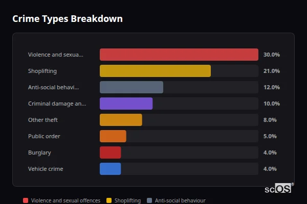 Crime Types Breakdown for Queenborough - showing Violence and sexual offences (30%), Shoplifting (21%), Anti-social behaviour (12%)