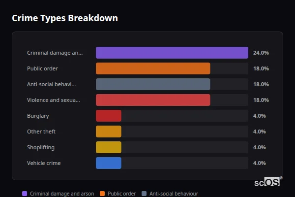 Crime Types Breakdown for Dormansland - showing Criminal damage and arson (24%), Public order (18%), Anti-social behaviour (18%)