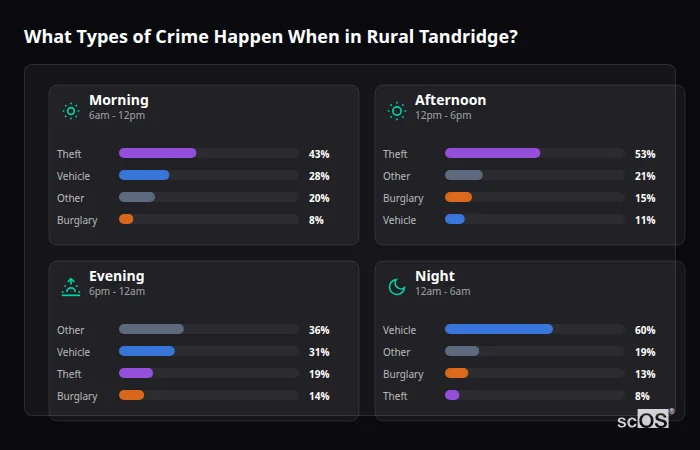 What Types of Crime Happen When in Rural Tandridge? Crime types by time period for Rural Tandridge - showing breakdown of burglary, violence, theft, and vehicle crime by morning, afternoon, evening, and night