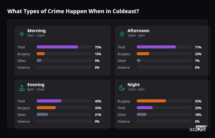 What Types of Crime Happen When in Coldeast? Crime types by time period for Coldeast - showing breakdown of burglary, violence, theft, and vehicle crime by morning, afternoon, evening, and night