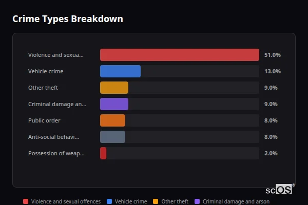 Crime Types Breakdown for Anna Valley and Upper Clatford - showing Violence and sexual offences (51%), Vehicle crime (13%), Other theft (9%)