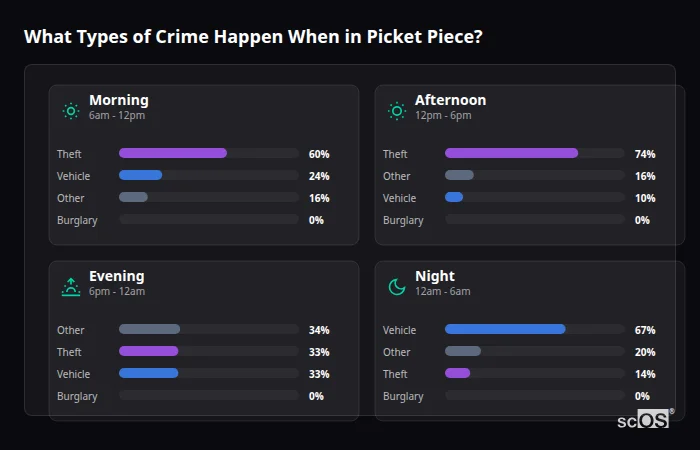 Crime types by time period for Picket Piece - showing breakdown of burglary, violence, theft, and vehicle crime by morning, afternoon, evening, and night