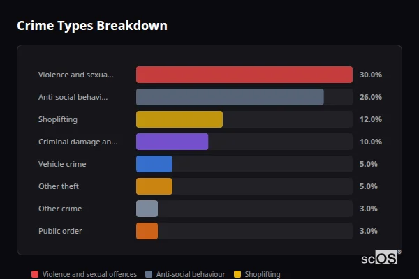 Crime Types Breakdown for Snodland - showing Violence and sexual offences (30%), Anti-social behaviour (26%), Shoplifting (12%)