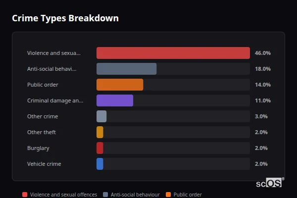 Crime Types Breakdown for Blaenavon - showing Violence and sexual offences (46%), Anti-social behaviour (18%), Public order (14%)