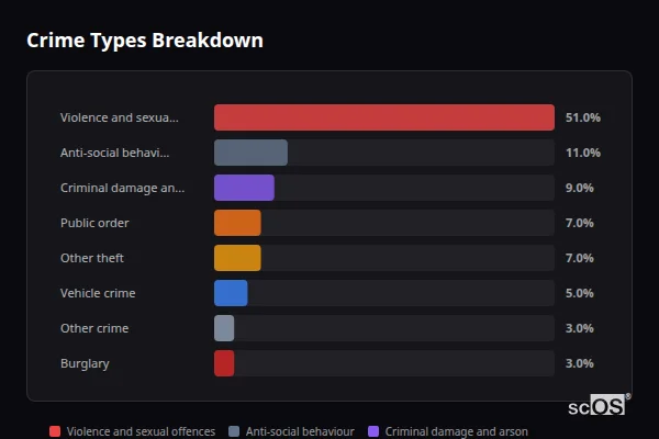 Crime Types Breakdown for Pembury - showing Violence and sexual offences (51%), Anti-social behaviour (11%), Criminal damage and arson (9%)