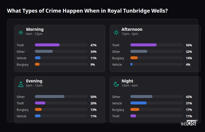 Crime types by time period for Royal Tunbridge Wells - showing breakdown of burglary, violence, theft, and vehicle crime by morning, afternoon, evening, and night