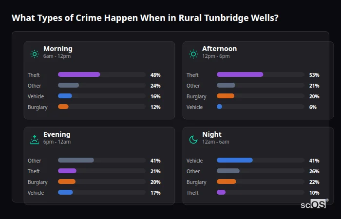 Crime types by time period for Rural Tunbridge Wells - showing breakdown of burglary, violence, theft, and vehicle crime by morning, afternoon, evening, and night