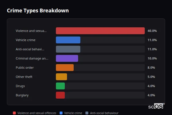 Crime Types Breakdown for Great Dunmow - showing Violence and sexual offences (40%), Vehicle crime (11%), Anti-social behaviour (11%)
