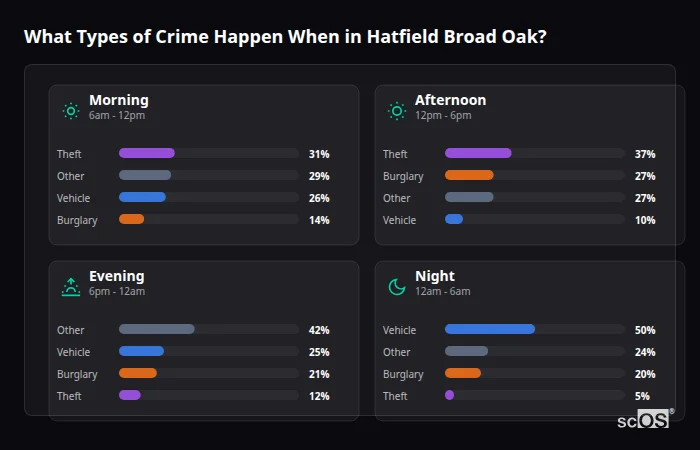 Crime types by time period for Hatfield Broad Oak - showing breakdown of burglary, violence, theft, and vehicle crime by morning, afternoon, evening, and night