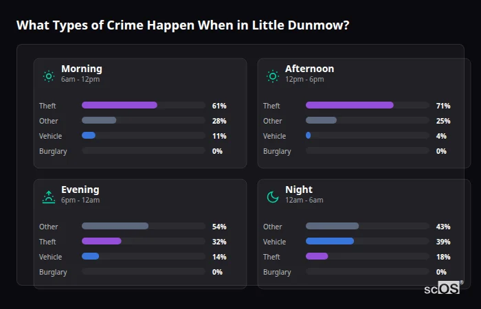 Crime types by time period for Little Dunmow - showing breakdown of burglary, violence, theft, and vehicle crime by morning, afternoon, evening, and night