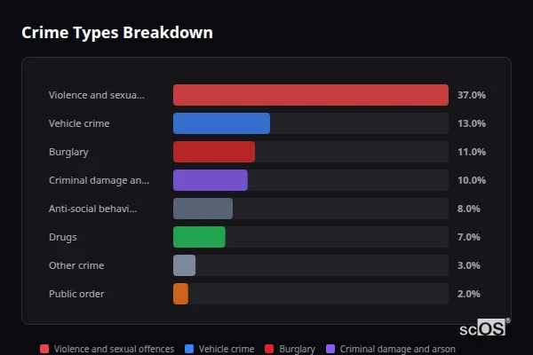 Crime Types Breakdown for Little Hallingbury - showing Violence and sexual offences (37%), Vehicle crime (13%), Burglary (11%)
