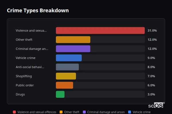 Crime Types Breakdown - Stansted Mountfitchet Crime Types Breakdown for Stansted Mountfitchet - showing Violence and sexual offences (31%), Other theft (12%), Criminal damage and arson (12%)
