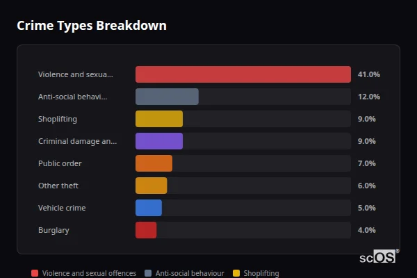 Crime Types Breakdown for South Elmsall - showing Violence and sexual offences (41%), Anti-social behaviour (12%), Shoplifting (9%)