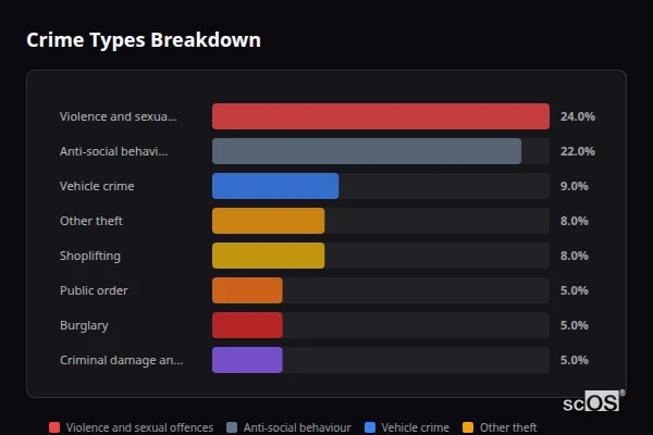 Crime Types Breakdown for Wandsworth - showing Violence and sexual offences (24%), Anti-social behaviour (22%), Vehicle crime (9%)