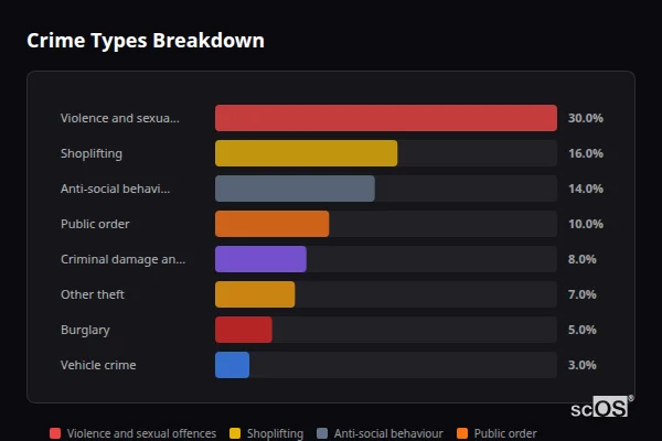 Crime Types Breakdown - Haslemere Crime Types Breakdown for Haslemere - showing Violence and sexual offences (30%), Shoplifting (16%), Anti-social behaviour (14%)