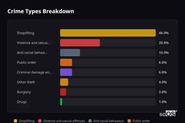 Crime Types Breakdown for Forest Row - showing Shoplifting (48%), Violence and sexual offences (20%), Anti-social behaviour (10%)