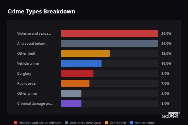 Crime Types Breakdown for Ninfield - showing Violence and sexual offences (24%), Anti-social behaviour (24%), Other theft (12%)