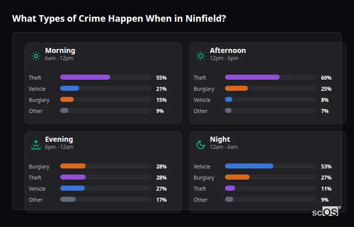 Crime types by time period for Ninfield - showing breakdown of burglary, violence, theft, and vehicle crime by morning, afternoon, evening, and night