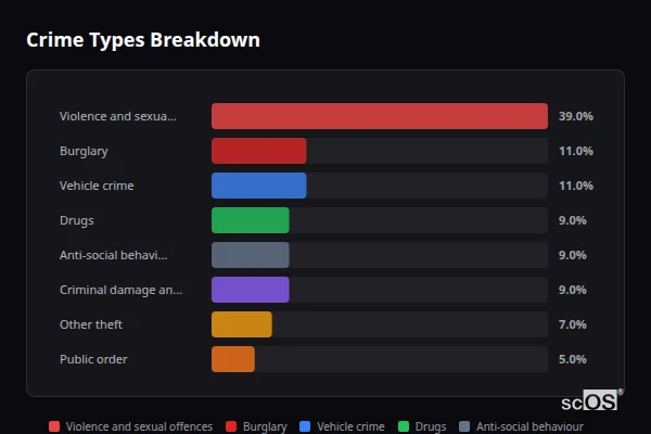 Crime Types Breakdown for Hampstead Norreys - showing Violence and sexual offences (39%), Burglary (11%), Vehicle crime (11%)