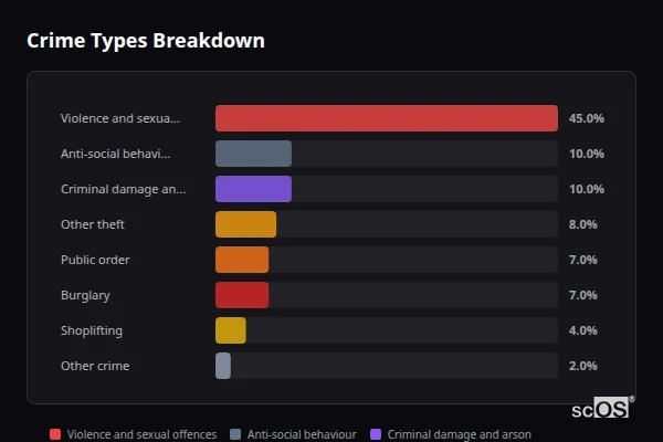 Crime Types Breakdown - Hungerford Crime Types Breakdown for Hungerford - showing Violence and sexual offences (45%), Anti-social behaviour (10%), Criminal damage and arson (10%)