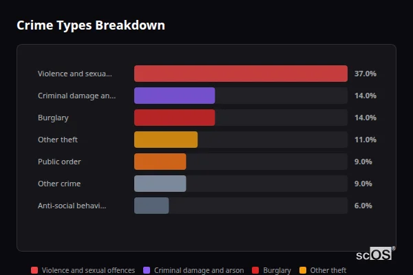 Crime Types Breakdown for Upper Basildon - showing Violence and sexual offences (37%), Criminal damage and arson (14%), Burglary (14%)