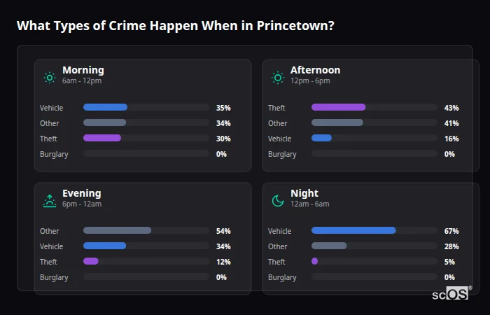 What Types of Crime Happen When in Princetown? Crime types by time period for Princetown - showing breakdown of burglary, violence, theft, and vehicle crime by morning, afternoon, evening, and night