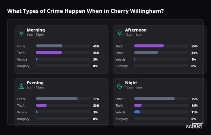 What Types of Crime Happen When in Cherry Willingham? Crime types by time period for Cherry Willingham - showing breakdown of burglary, violence, theft, and vehicle crime by morning, afternoon, evening, and night