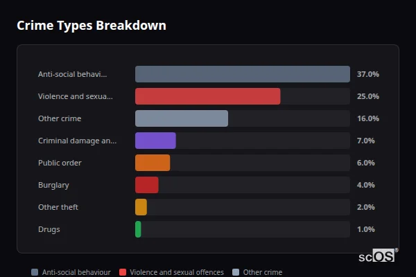 Crime Types Breakdown - Nettleham Crime Types Breakdown for Nettleham - showing Anti-social behaviour (37%), Violence and sexual offences (25%), Other crime (16%)
