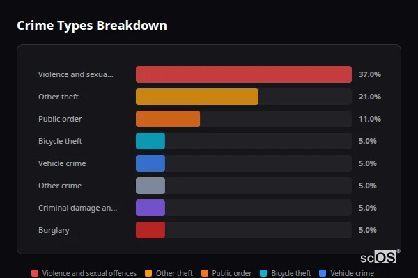 Crime Types Breakdown for Scothern - showing Violence and sexual offences (37%), Other theft (21%), Public order (11%)