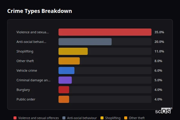 Crime Types Breakdown for Long Buckby - showing Violence and sexual offences (35%), Anti-social behaviour (20%), Shoplifting (11%)