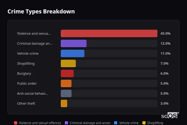 Crime Types Breakdown for Burford - showing Violence and sexual offences (45%), Criminal damage and arson (12%), Vehicle crime (11%)