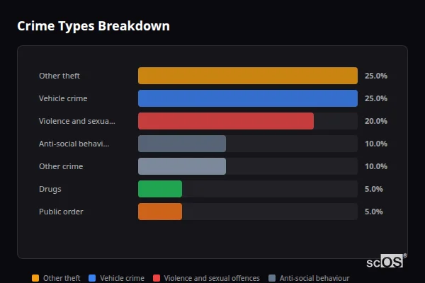 Crime Types Breakdown for Hailey - showing Other theft (25%), Vehicle crime (25%), Violence and sexual offences (20%)