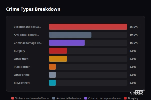 Crime Types Breakdown for Brinkworth - showing Violence and sexual offences (35%), Anti-social behaviour (19%), Criminal damage and arson (16%)