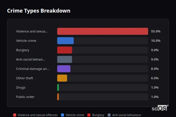 Crime Types Breakdown for Netheravon - showing Violence and sexual offences (55%), Vehicle crime (10%), Burglary (9%)