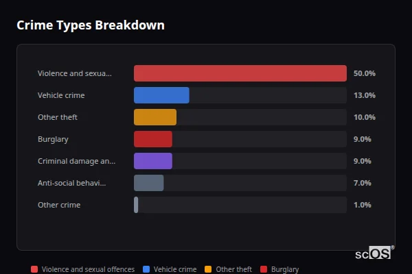 Crime Types Breakdown for South Wonston - showing Violence and sexual offences (50%), Vehicle crime (13%), Other theft (10%)