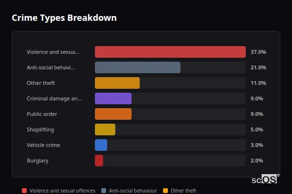 Crime Types Breakdown for Spencers Wood and Three Mile Cross - showing Violence and sexual offences (37%), Anti-social behaviour (21%), Other theft (11%)