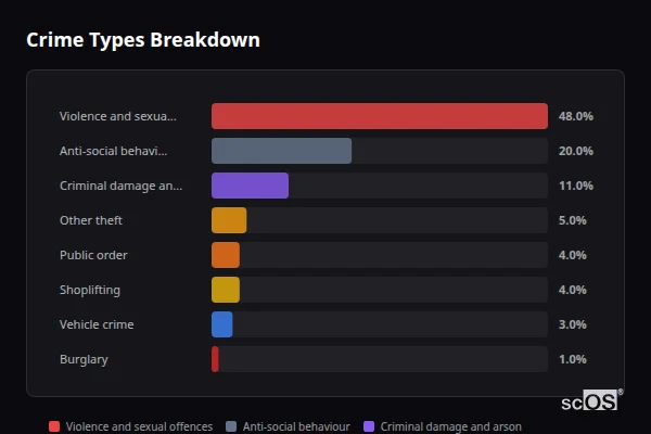 Crime Types Breakdown for Rhostyllen - showing Violence and sexual offences (48%), Anti-social behaviour (20%), Criminal damage and arson (11%)