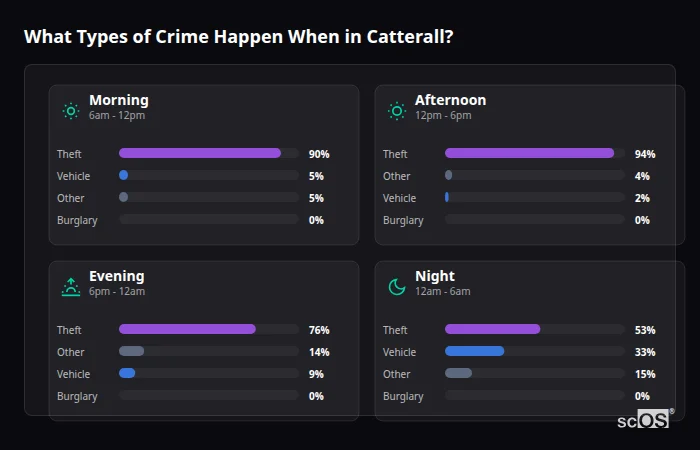 Crime types by time period for Catterall - showing breakdown of burglary, violence, theft, and vehicle crime by morning, afternoon, evening, and night